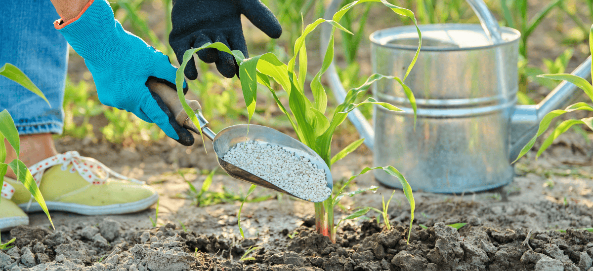 Strategia Nutrizionale concimi cifo per agricoltura
