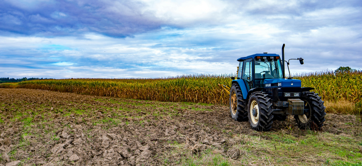 Errori comuni che riducono la resa agricola