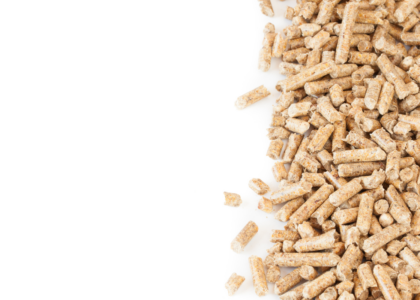 Pile of light-brown wood pellets scattered along the right edge on a white surface, used as heating fuel